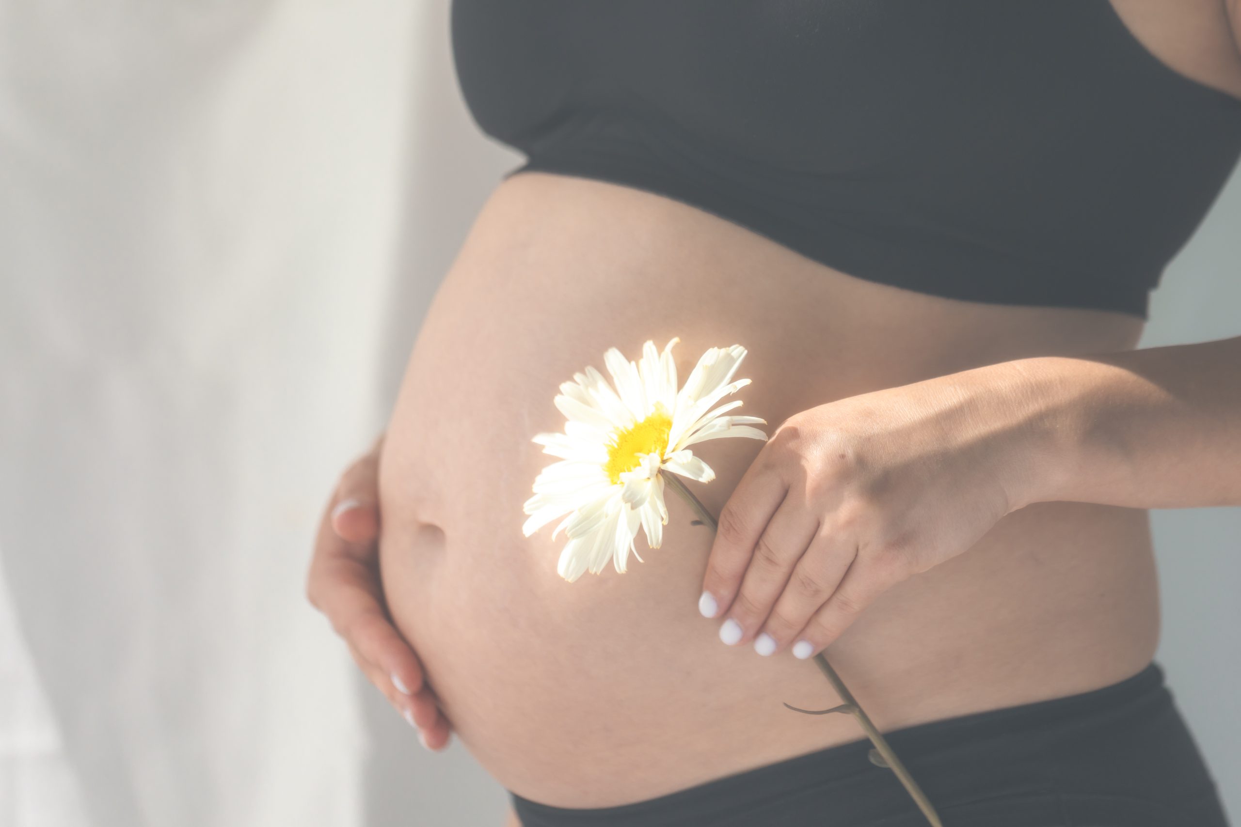 Close-up of pregnant woman holding white daisy flower near her big belly. Healthy lifestyle in pregnancy time. Maternity. Obstetrics and gynecology. SSUCv3H4sIAAAAAAAACpySz26DMAzG75P2DijnIlHCoN2rVDs4wS1W06RKQqep6rsvfwBl193wz/ZnfzHP97eqYgIcSfZZPWMUYlJqdt6CJ6MDbnYLt6hHtCV5WN43JQAqIxzJG0ugSijAy0nDDQPUs1IRv1KSOQ9+dujiLguS4PESNDLcJPLCpxxXayIlQ0dIMbYrmJtFYivK4v/qzB9fm+ELavmTFi6MWFQI2cgpl7Lrt0d7K63BPJIpXD2MBBULeKEEdAcLf/ruliTpS0GMn9JdViVpZu1t3Gozw5QxdxAqvvo5jMGVT+BcKB9XXsyW4S8wt2KONj55WlTZGI4Twz3nfdd8DIe+bfeHpu+HpSAfdKKgk9ZZhUIsrzSWrihuwEQzAA6trHnX8Lo7w7EWZ36sByFg36HgeBjCLV6/AAAA//8DAK8Qps25AgAA